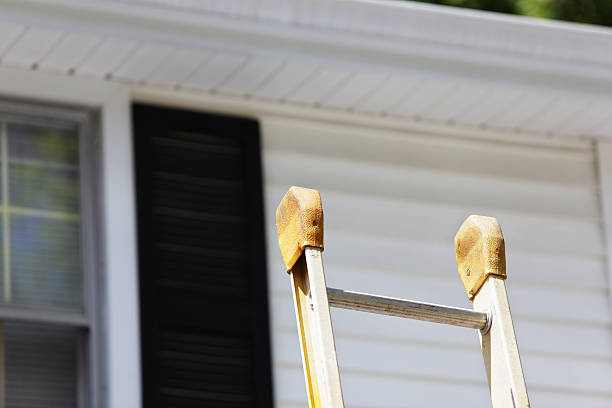 Best Carpet Removal and Disposal  in Coal Fork, WV